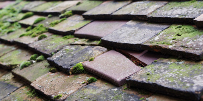Faenor roof repair costs